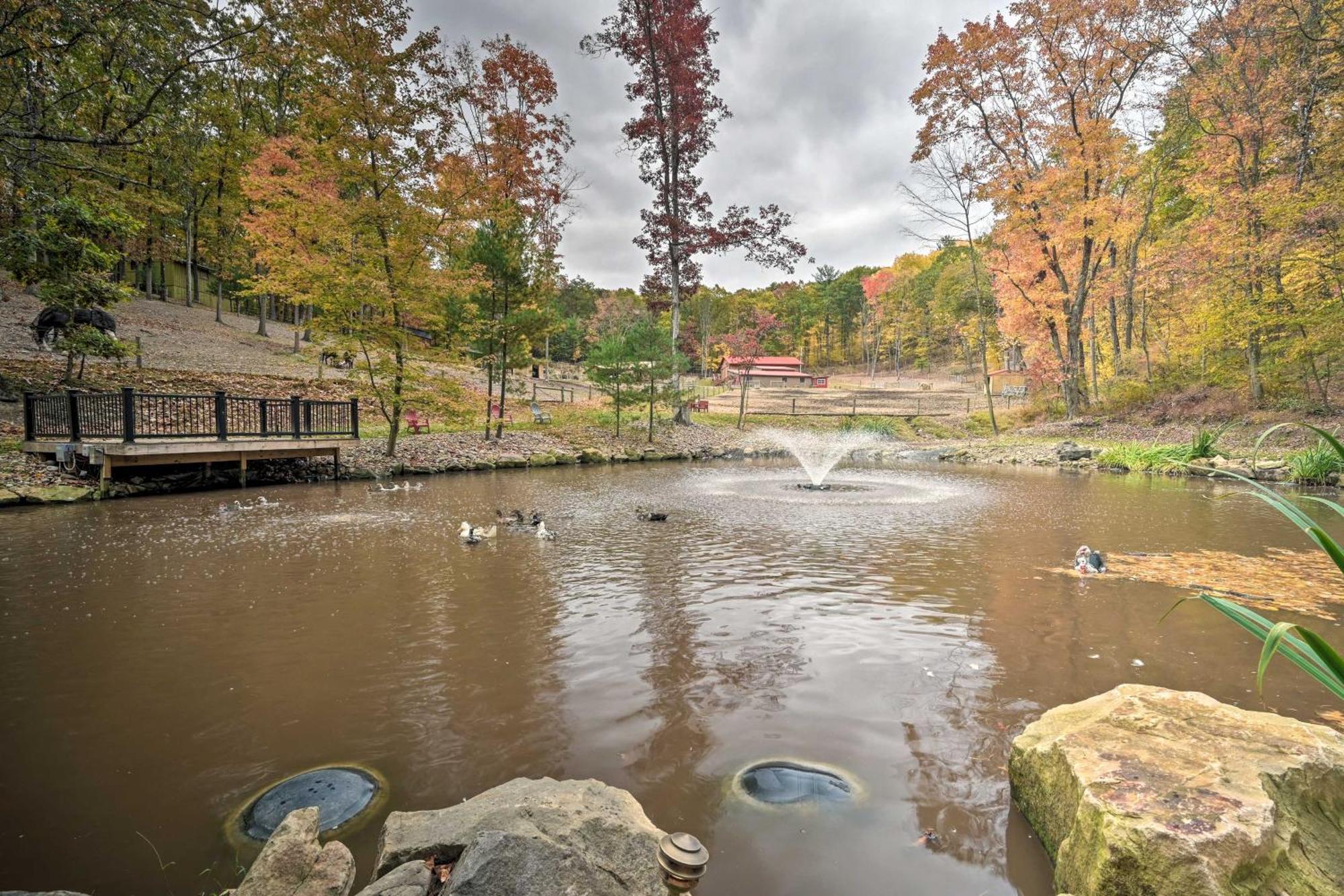Lucas Mccain Cabin 5 Mi To Raystown Lake Launch! Huntingdon Ngoại thất bức ảnh