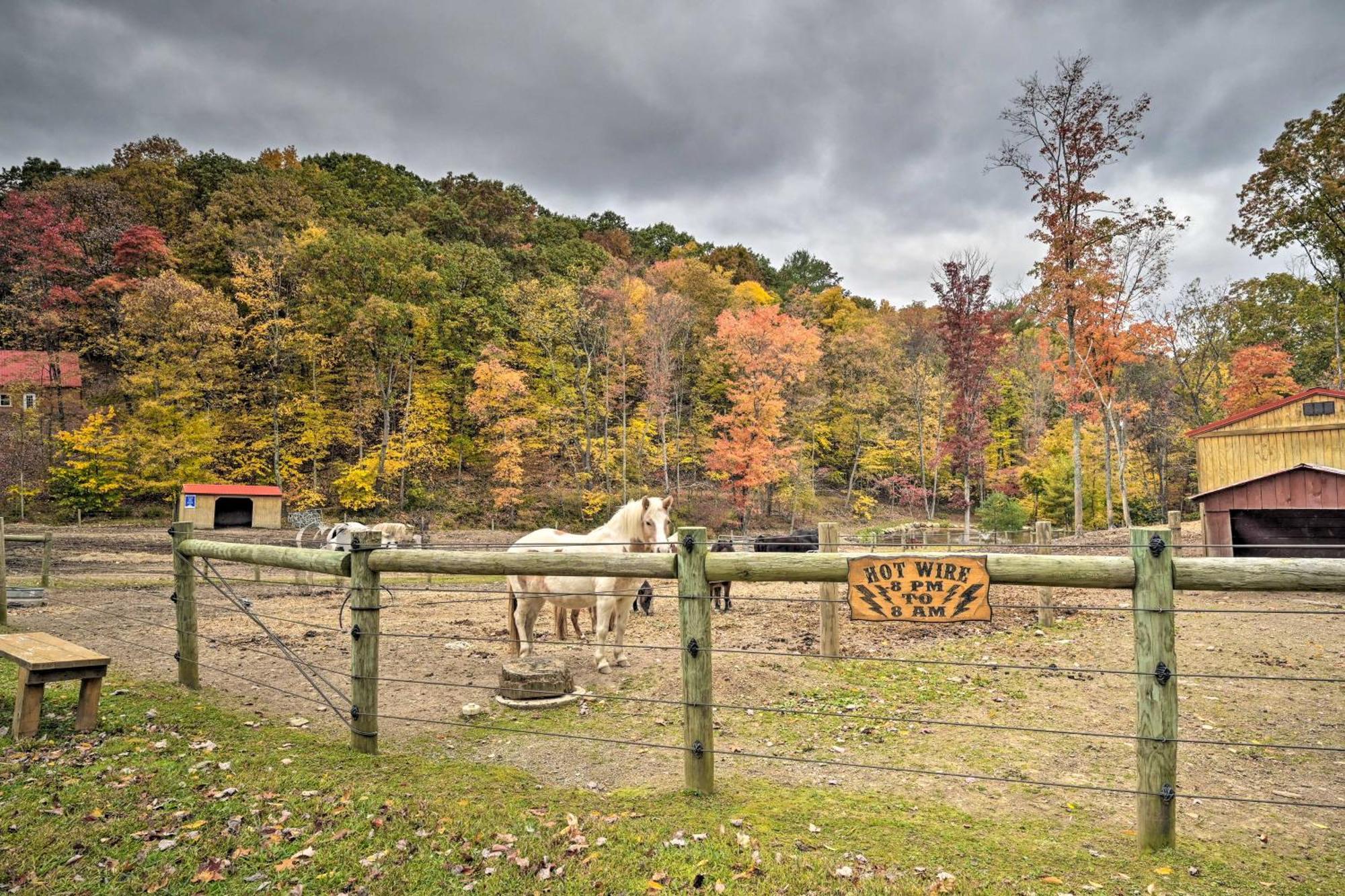 Lucas Mccain Cabin 5 Mi To Raystown Lake Launch! Huntingdon Ngoại thất bức ảnh